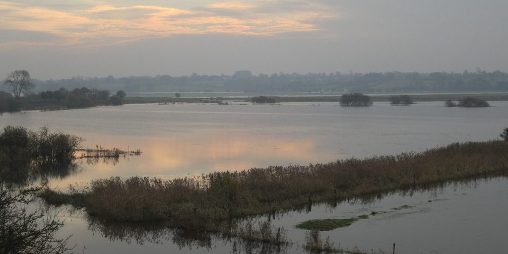The flooded marshes of the Cotentin at Liesville-sur-Douve under an evening sky